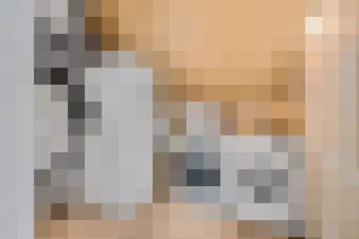 Langelaar 20 Veenendaal thumbnail 31