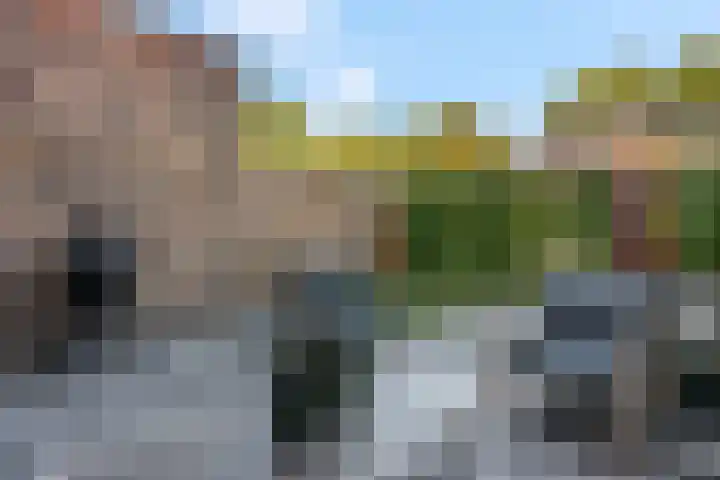 Langelaar 20 Veenendaal thumbnail 33