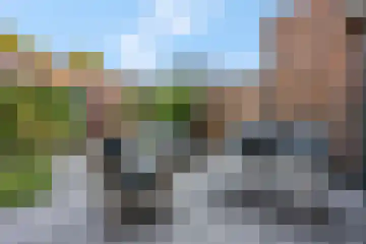 Langelaar 20 Veenendaal thumbnail 34