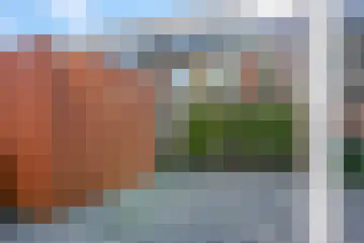 Langelaar 20 Veenendaal thumbnail 36