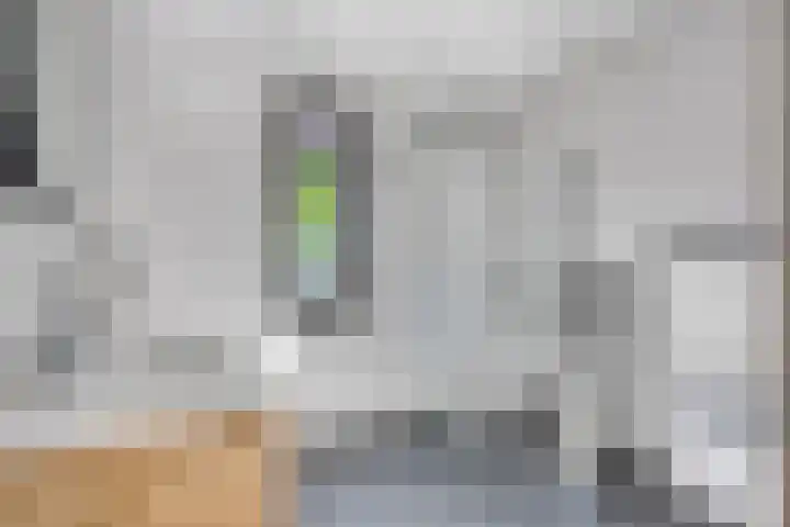 Langelaar 20 Veenendaal thumbnail 4