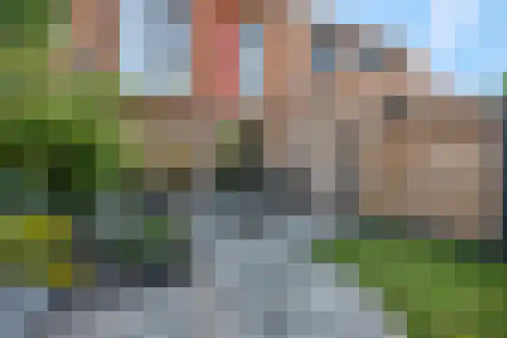 Langelaar 20 Veenendaal thumbnail 5