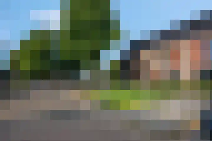 Langelaar 20 Veenendaal thumbnail 6