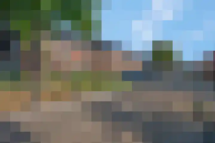 Langelaar 20 Veenendaal thumbnail 7
