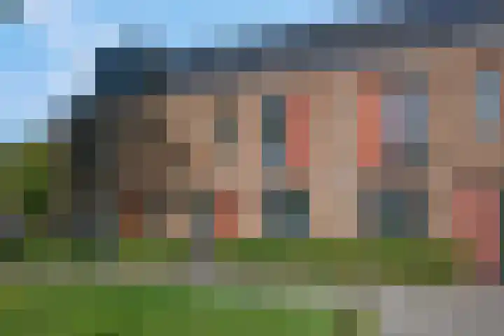 Langelaar 20 Veenendaal thumbnail 8