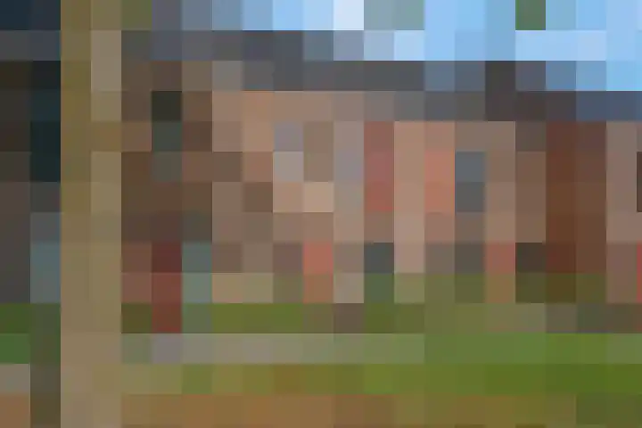 Langelaar 20 Veenendaal thumbnail 9