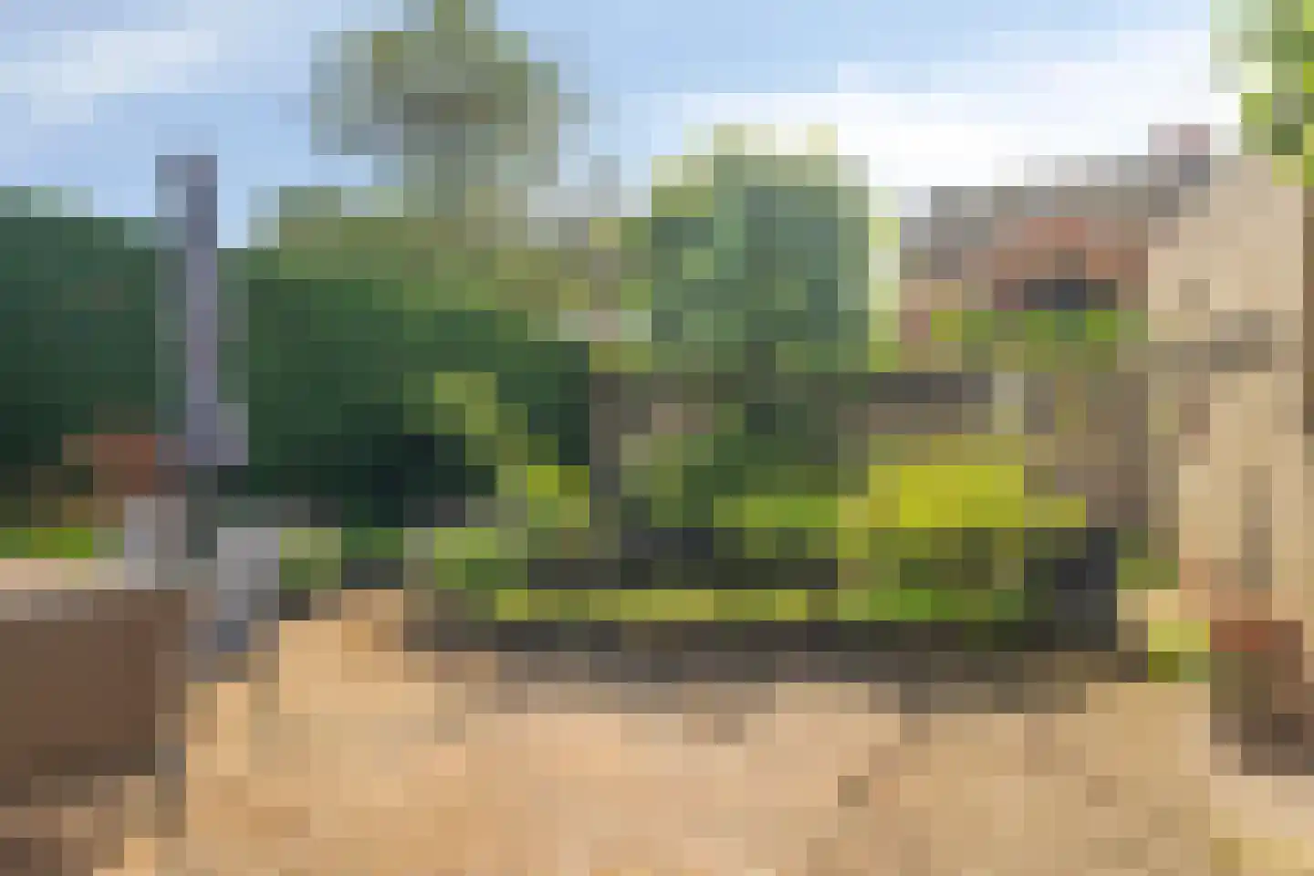 Langelaar 25 Teteringen thumbnail 24