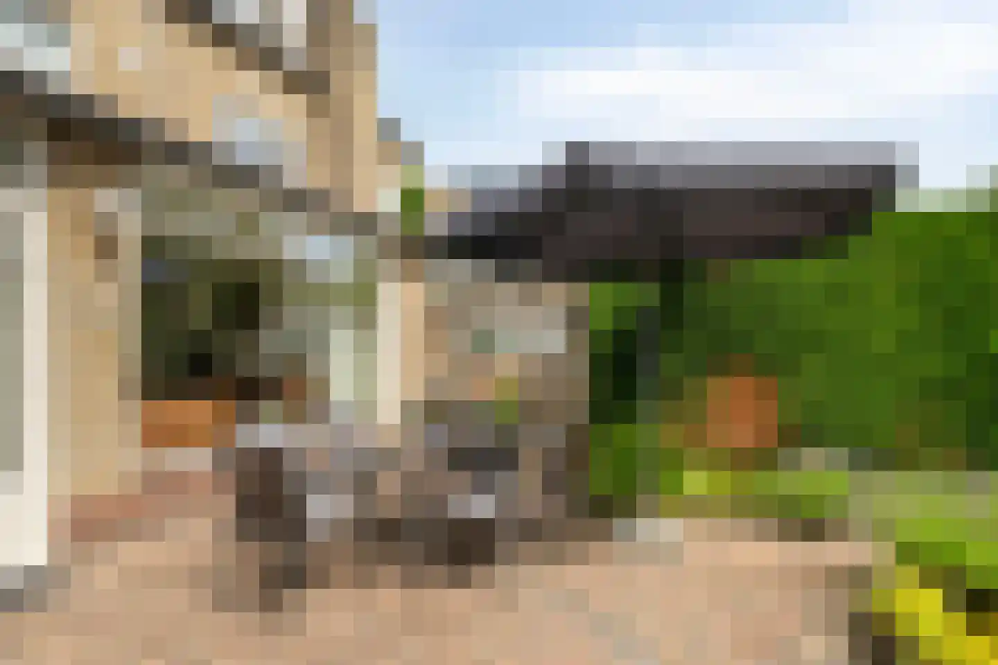 Langelaar 25 Teteringen thumbnail 25