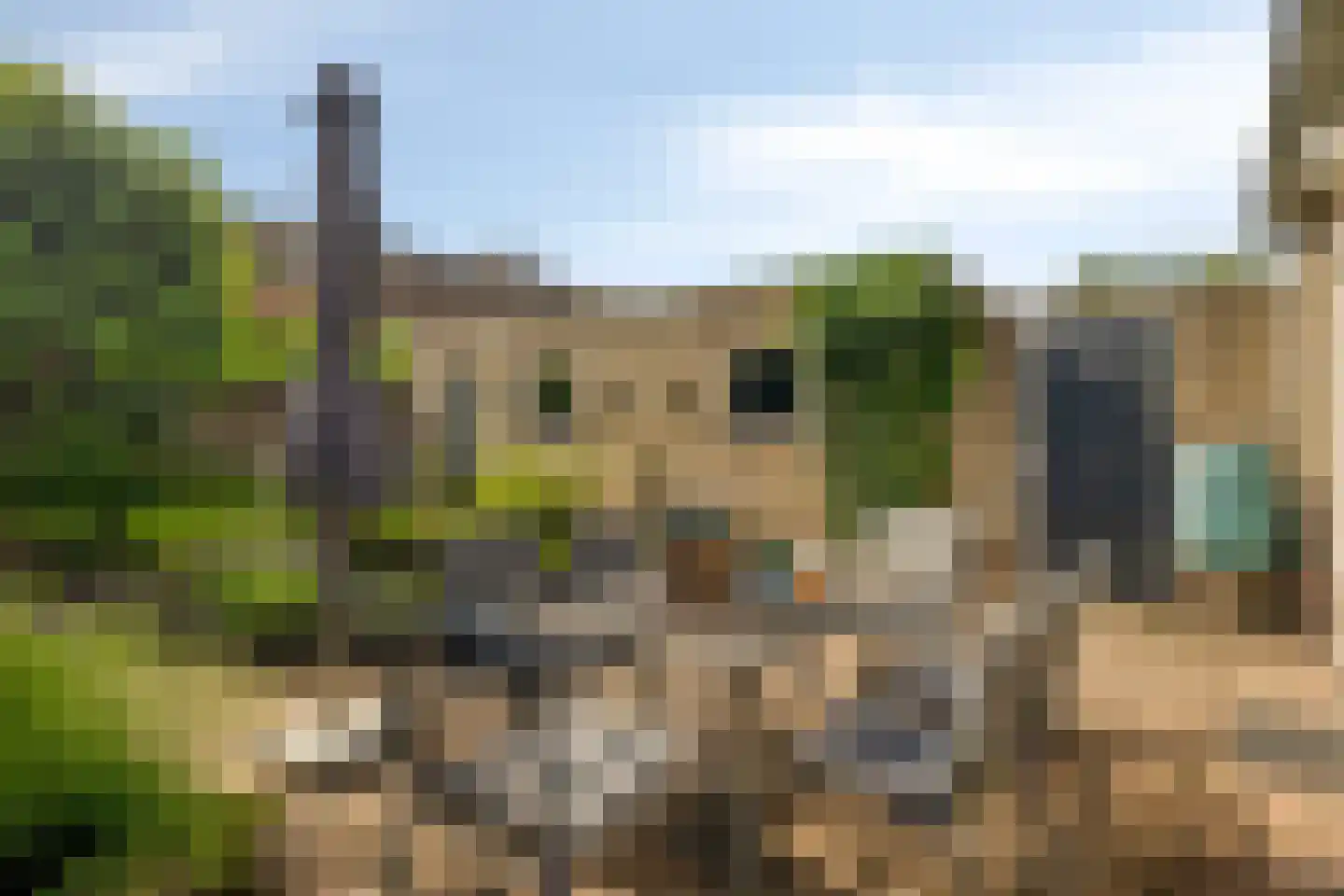 Langelaar 25 Teteringen thumbnail 26