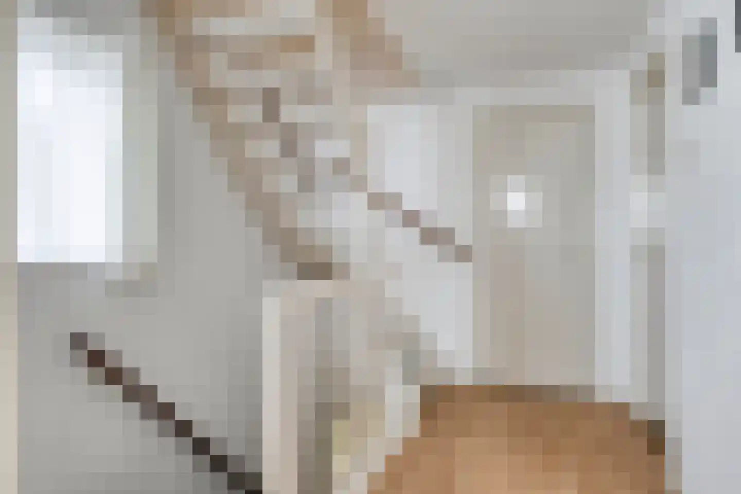Langelaar 25 Teteringen thumbnail 30