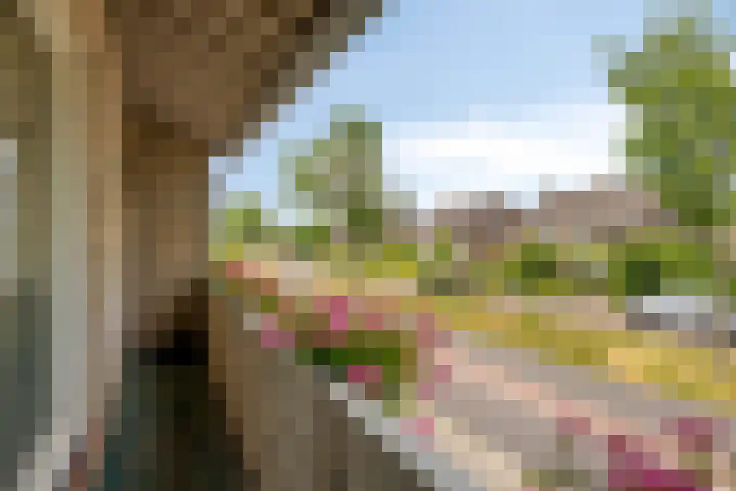 Langelaar 25 Teteringen thumbnail 38