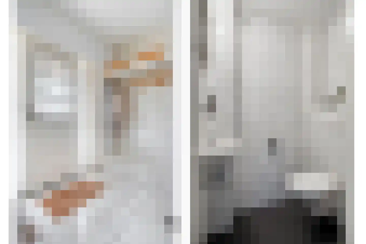Langelaar 25 Teteringen thumbnail 6