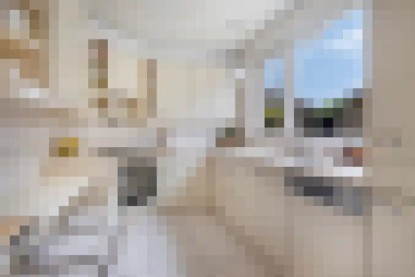 Langelaar 25 Teteringen thumbnail 7