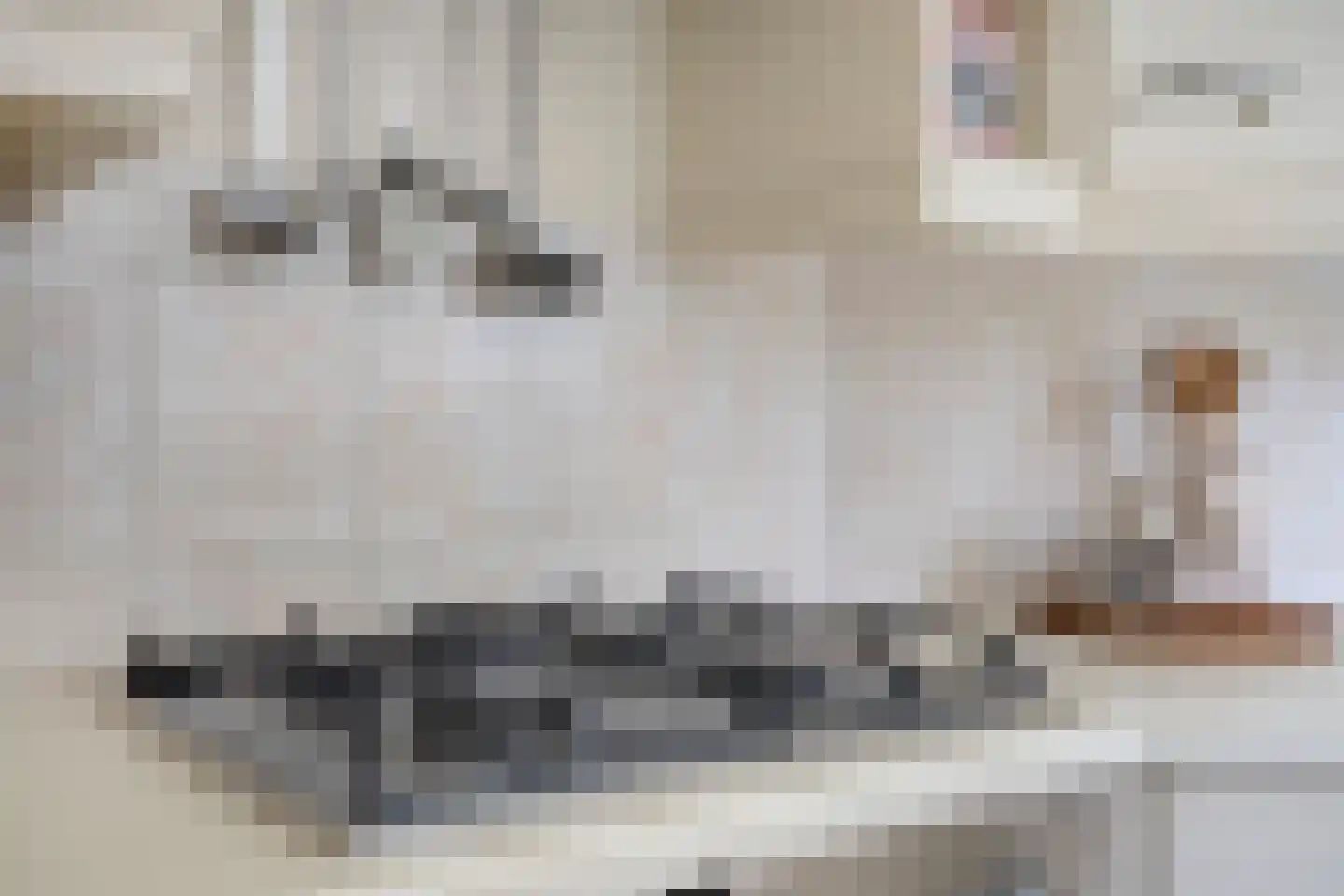 Langelaar 25 Teteringen thumbnail 9