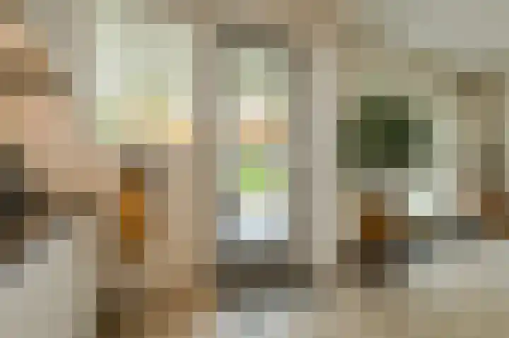 Langelaar 36 Teteringen thumbnail 12