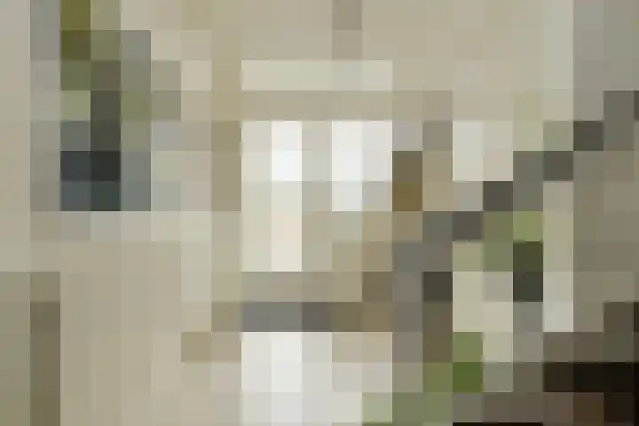 Langelaar 36 Teteringen thumbnail 18