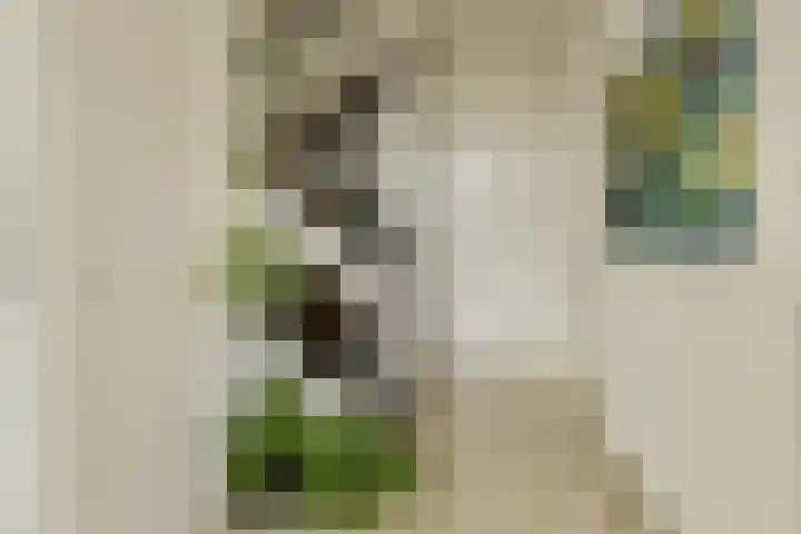 Langelaar 36 Teteringen thumbnail 20