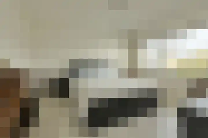 Langelaar 36 Teteringen thumbnail 21