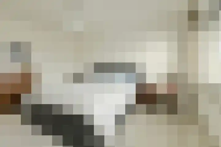 Langelaar 36 Teteringen thumbnail 22