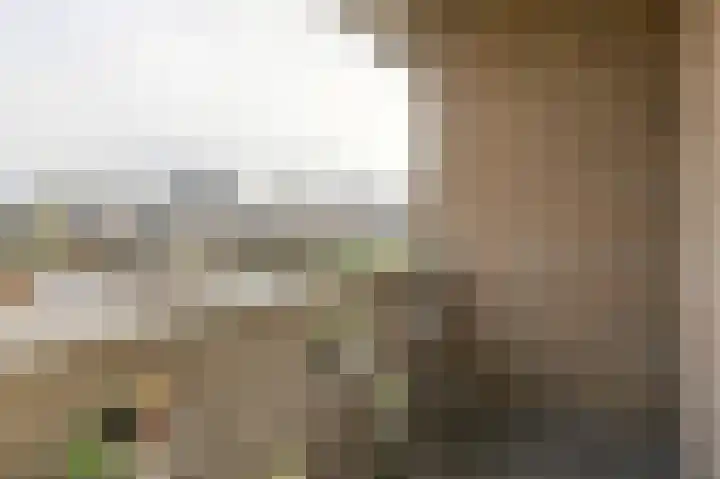 Langelaar 36 Teteringen thumbnail 23