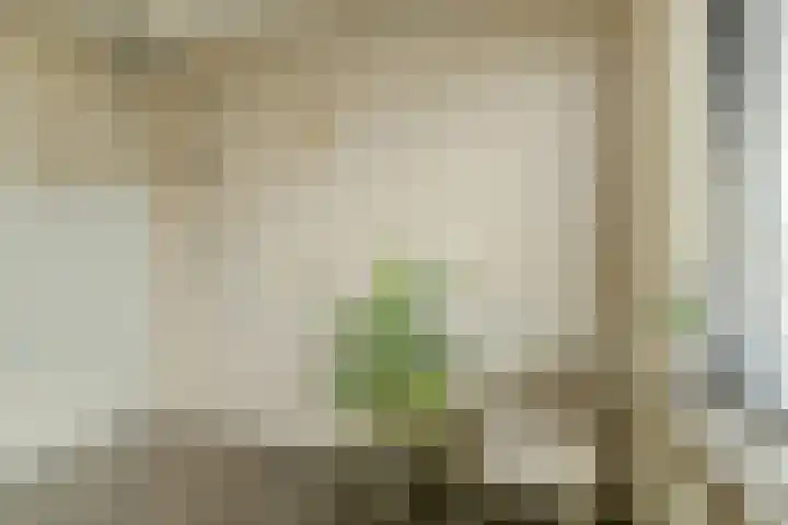 Langelaar 36 Teteringen thumbnail 26