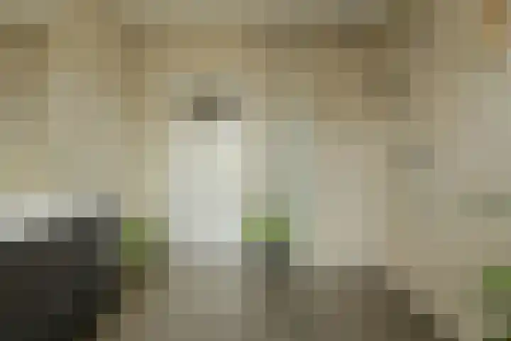 Langelaar 36 Teteringen thumbnail 27