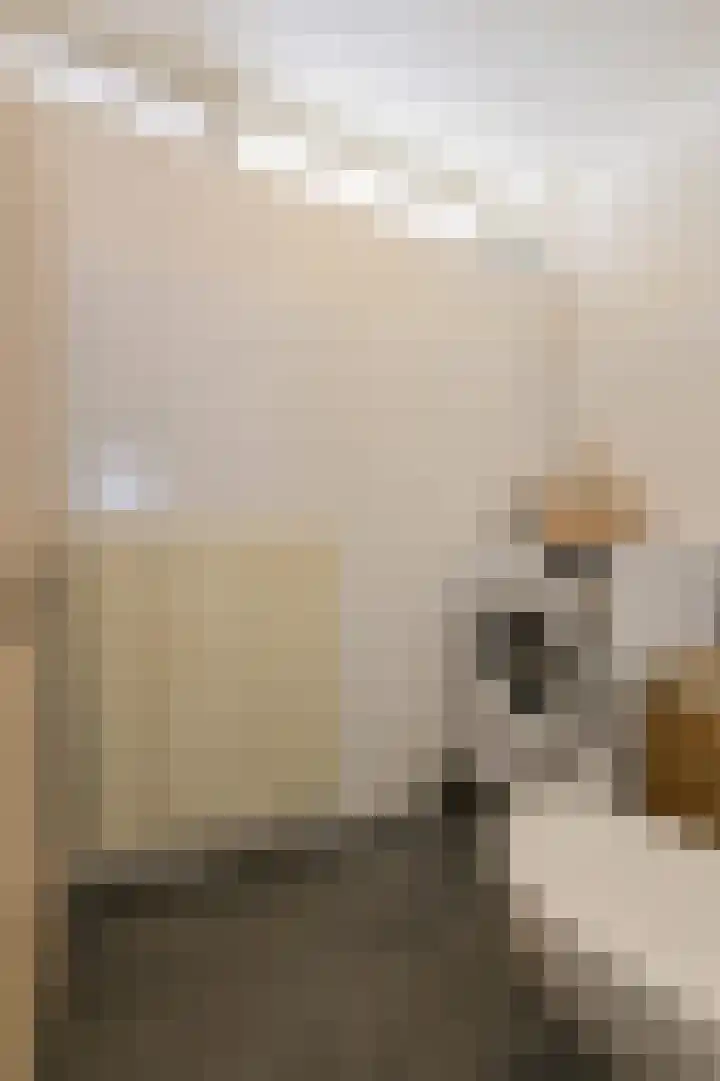 Langelaar 36 Teteringen thumbnail 32