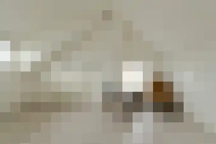 Langelaar 36 Teteringen thumbnail 34