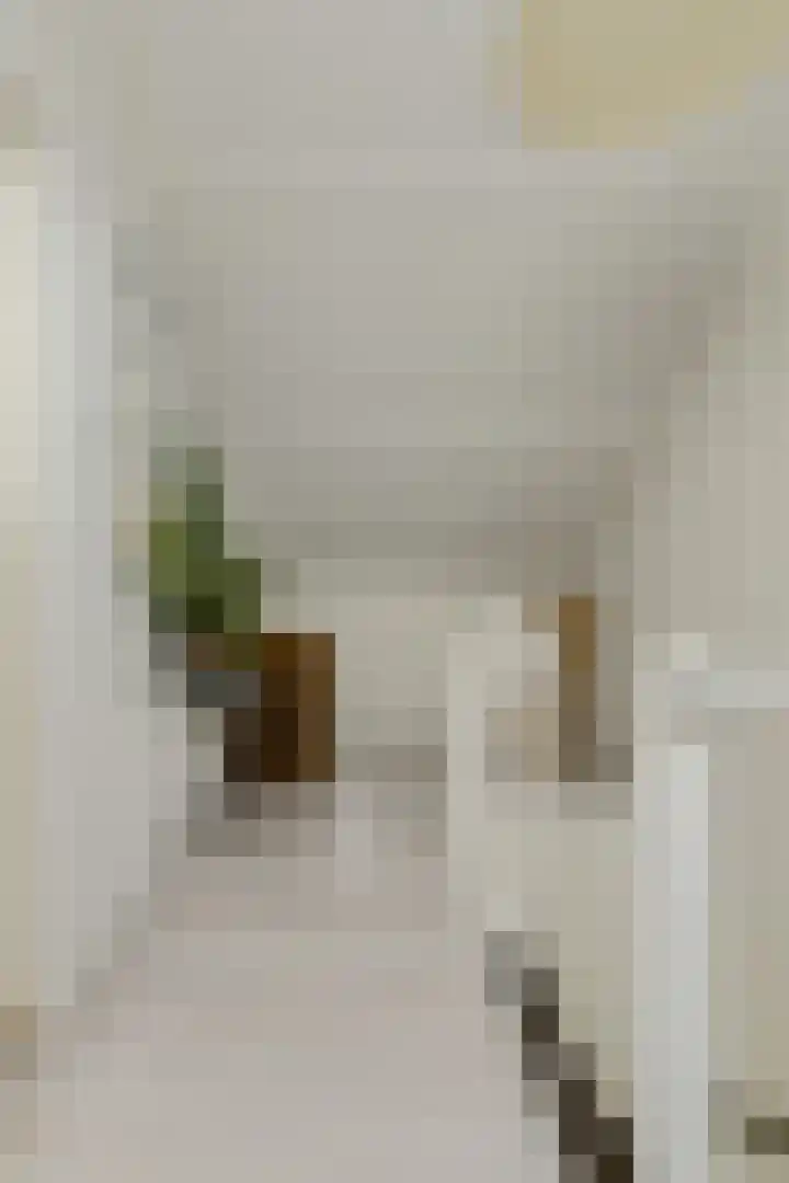 Langelaar 36 Teteringen thumbnail 37