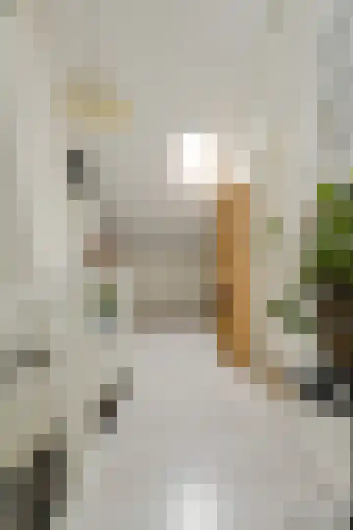 Langelaar 36 Teteringen thumbnail 38