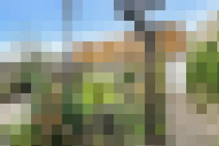 Langelaar 36 Teteringen thumbnail 41
