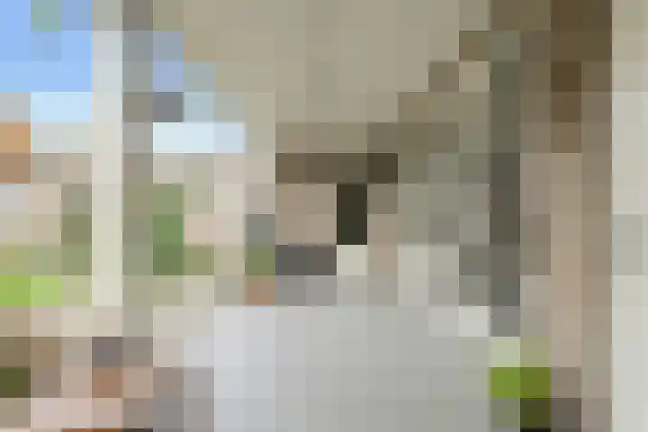 Langelaar 36 Teteringen thumbnail 45