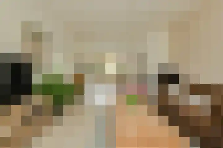 Langelaar 36 Teteringen thumbnail 5