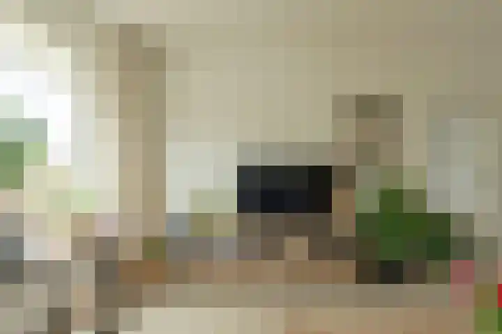 Langelaar 36 Teteringen thumbnail 7