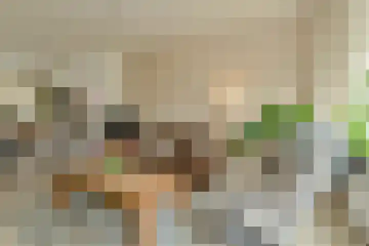 Langelaar 36 Teteringen thumbnail 8