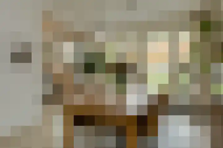 Langelaar 36 Teteringen thumbnail 9