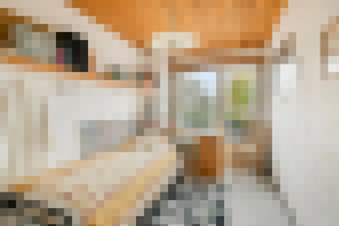 Langelaar 62 Teteringen thumbnail 23