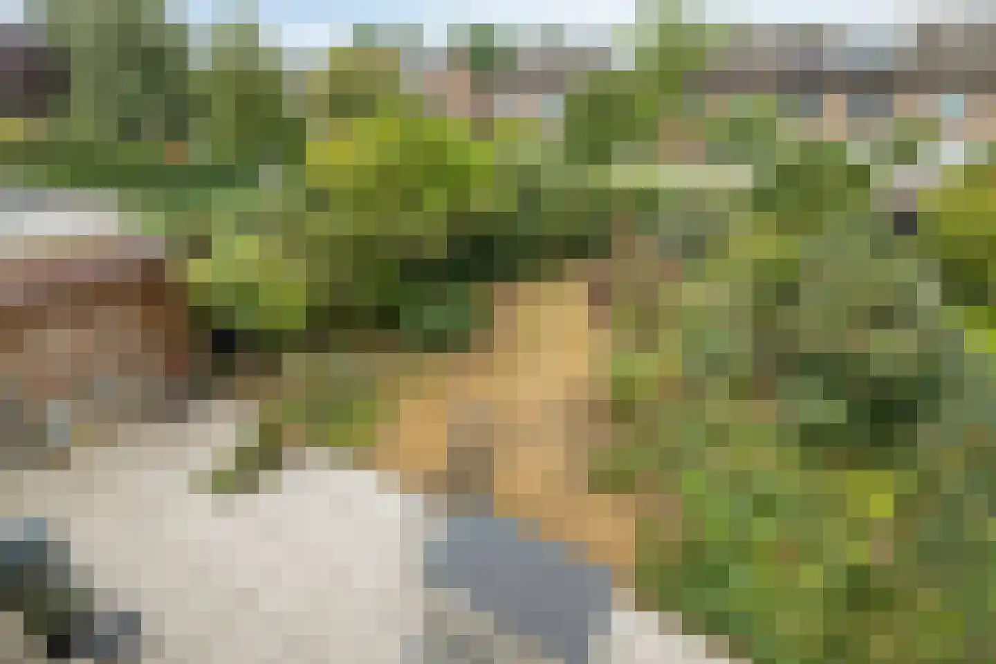 Langelaar 62 Teteringen thumbnail 6