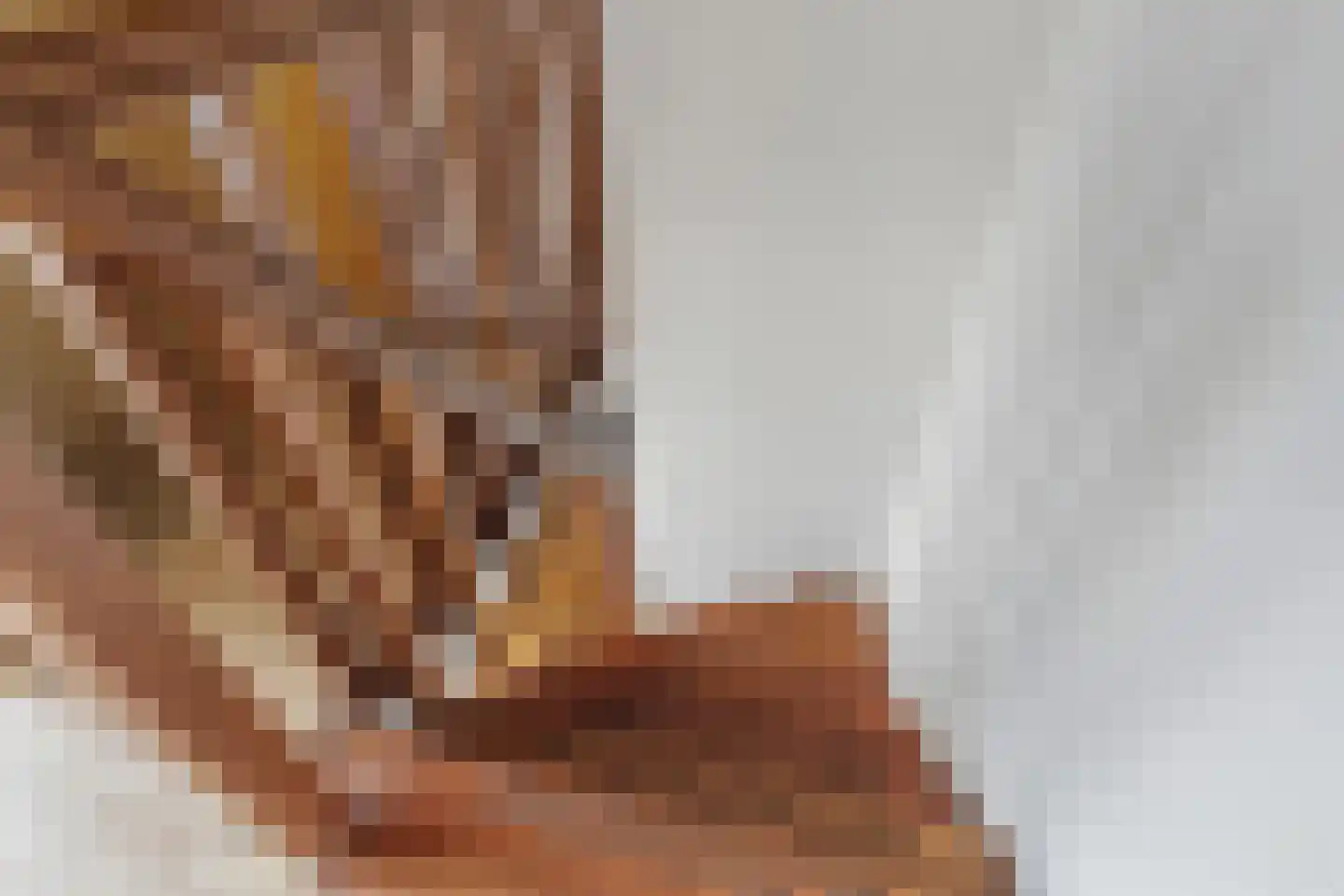 Langelaar 69 Teteringen thumbnail 39