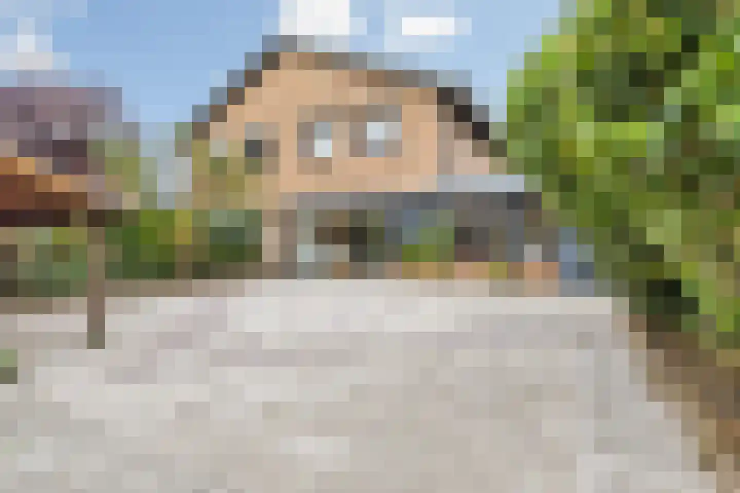 Langelaar 69 Teteringen thumbnail 48