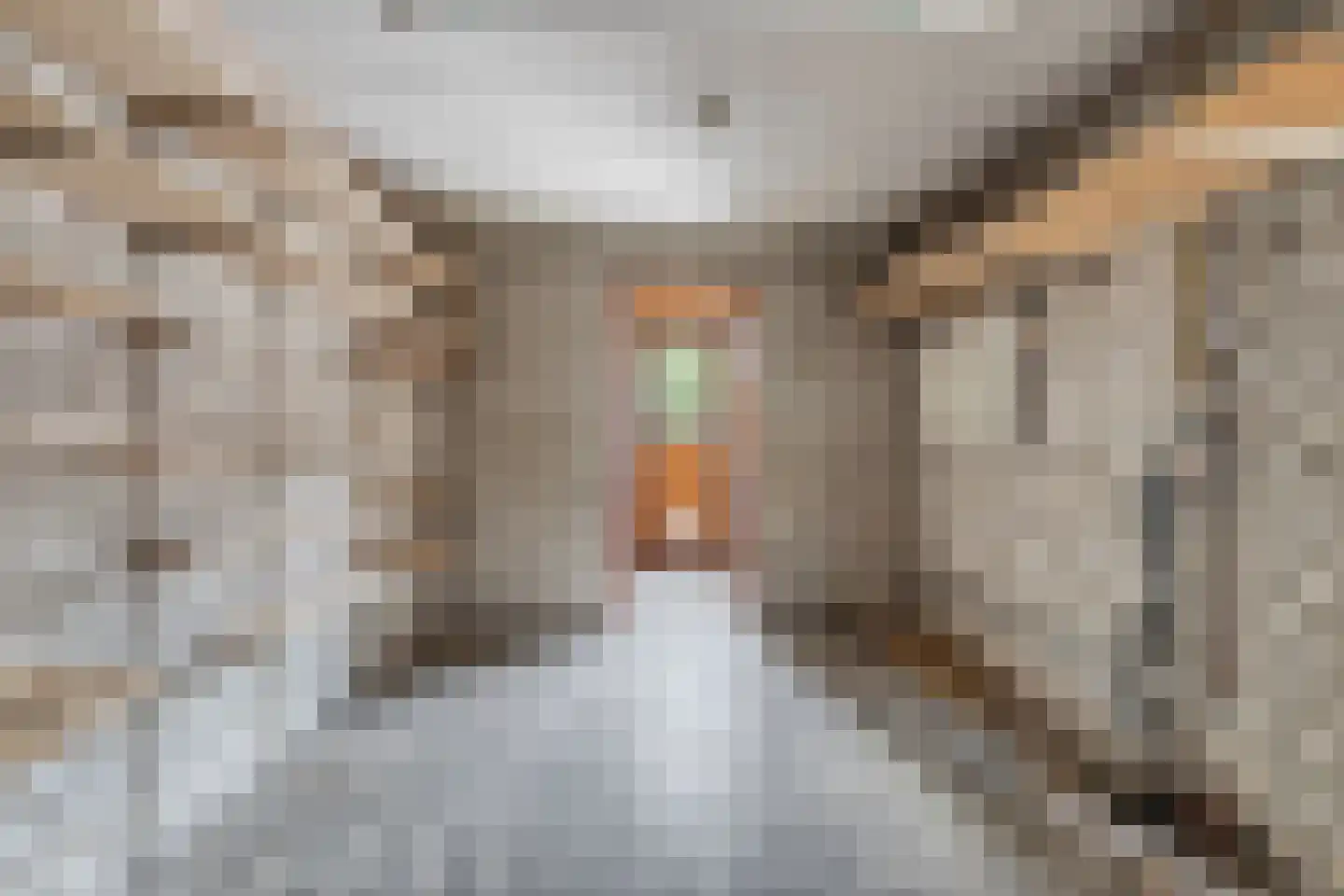 Langelaar 69 Teteringen thumbnail 54
