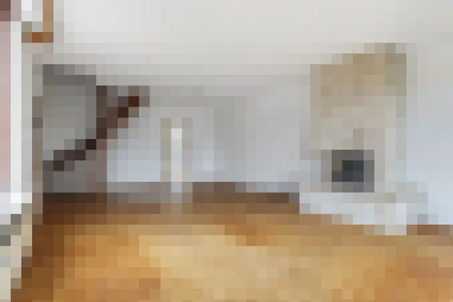 Langelaar 69 Teteringen thumbnail 6