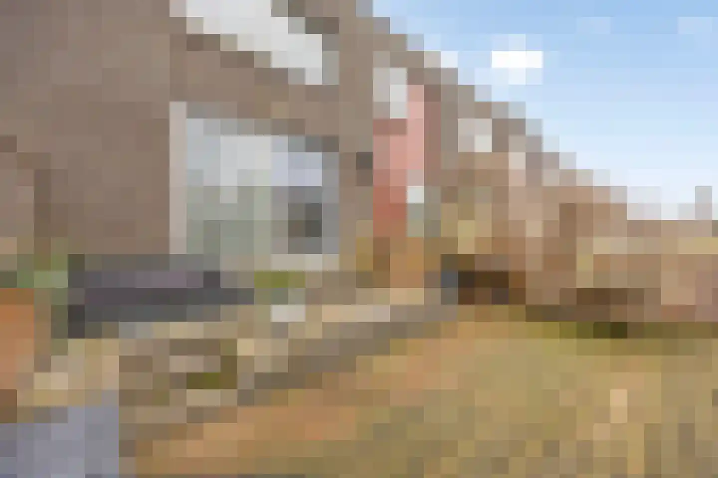 Langeland 17 Den Haag thumbnail 31