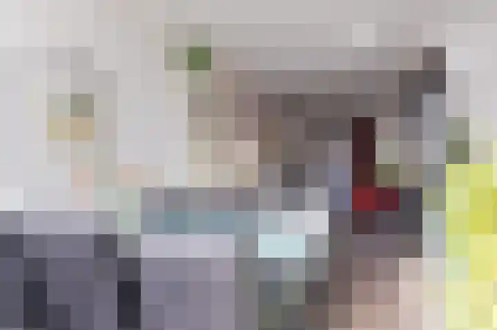 Langeland 20 Midwoud thumbnail 16