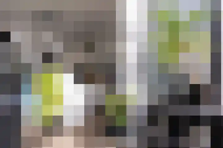 Langeland 20 Midwoud thumbnail 17