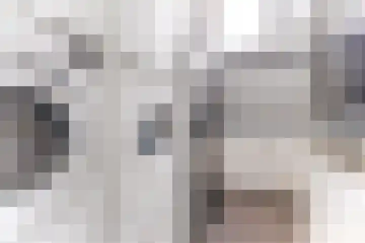 Langeland 20 Midwoud thumbnail 22
