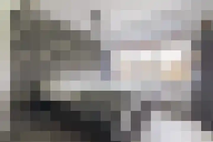 Langeland 20 Midwoud thumbnail 40