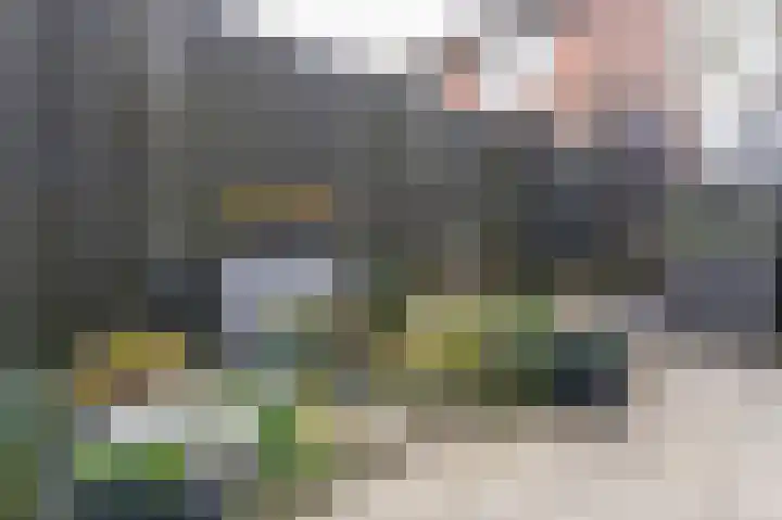 Langeland 20 Midwoud thumbnail 45