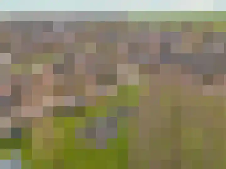 Langeland 20 Midwoud thumbnail 47
