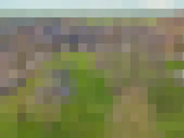 Langeland 20 Midwoud thumbnail 49